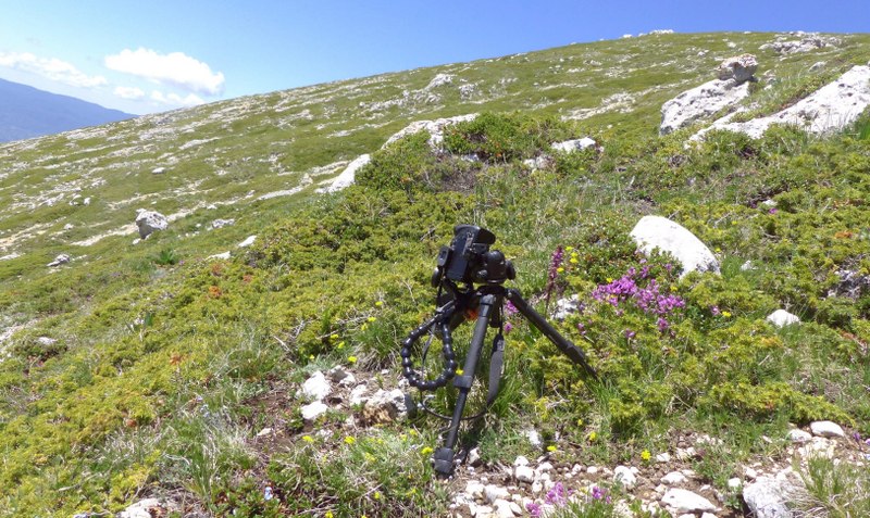 Monte Velino e Monti della Duchessa, le orchidee e la Natura  2024.